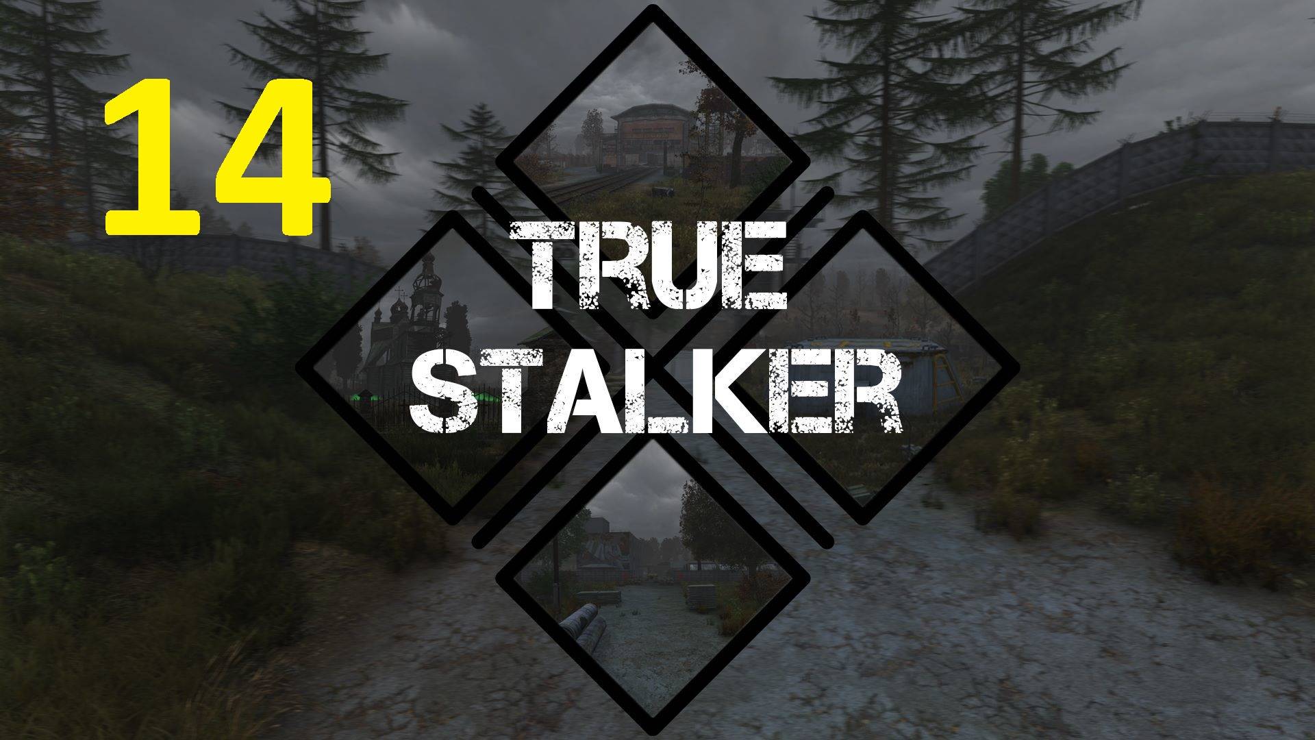 Прохождение S.T.A.L.K.E.R True Stalker. Часть 14 смотреть онлайн