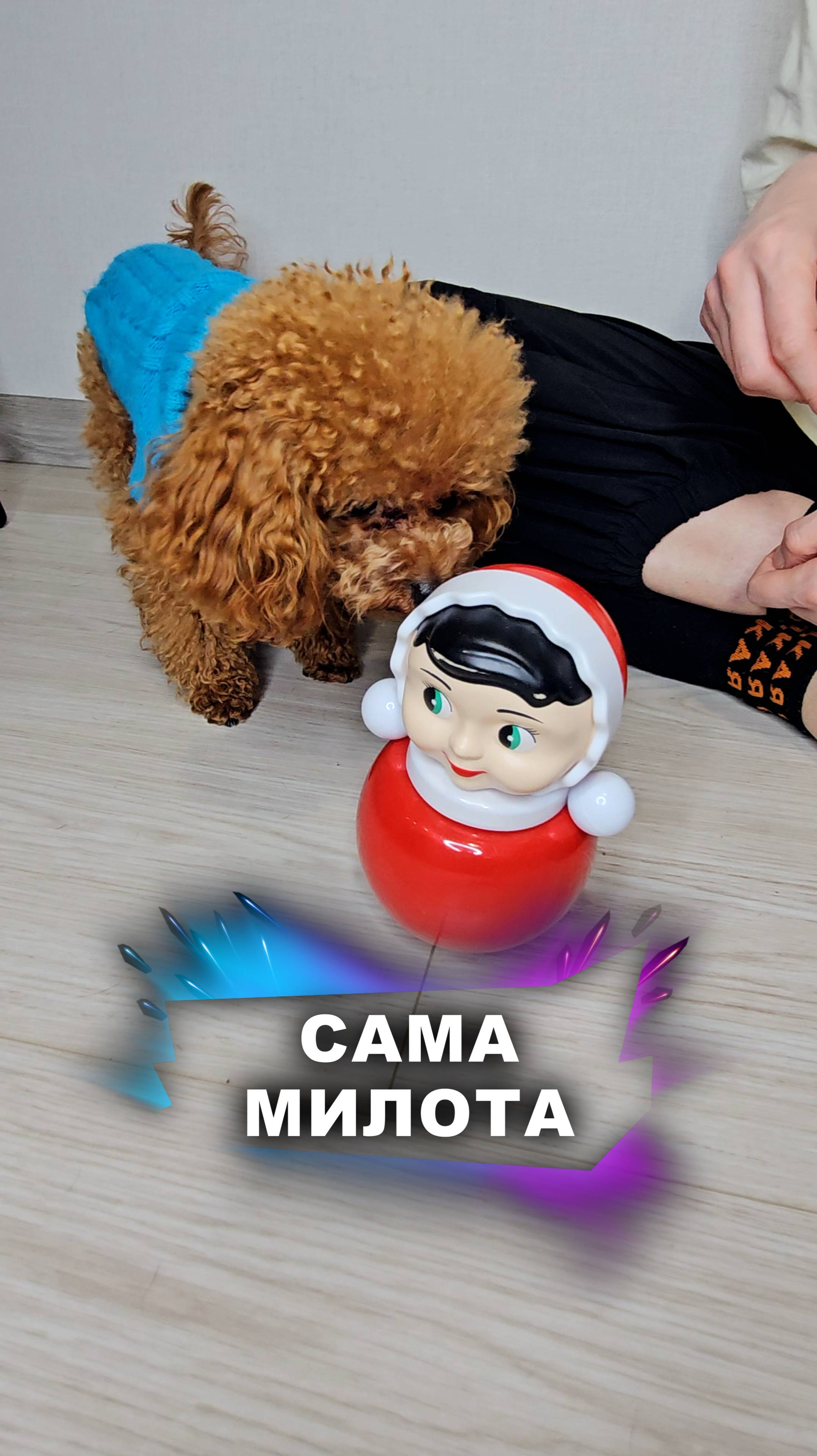 Неваляшка ему понравилась #животные смотреть онлайн