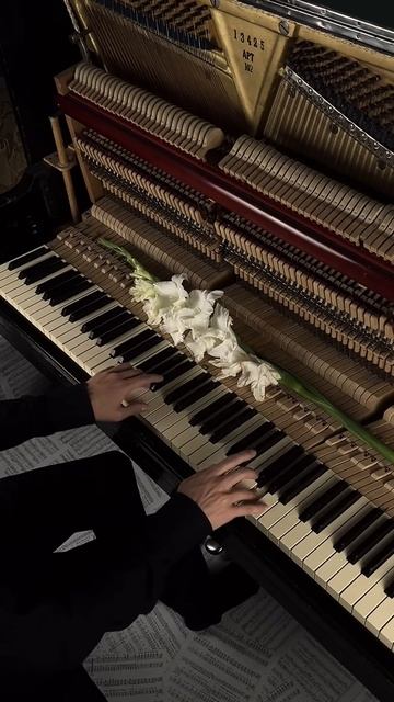 Homage✨ #aesthetic #piano #calm смотреть онлайн