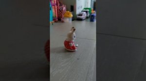 ВОЛШЕБСТВО Sylvanian Великолепная игра