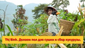 Thị Bình. Вьетнам. Делаем пол для сушки кукурузы и собираем кукурузу.