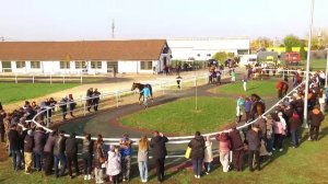 Павловский скачки. Закрытие скакового сезона