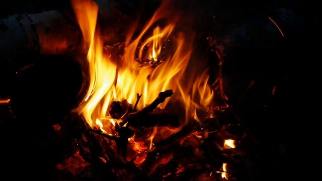 Таёжный костер костер под пение птиц. Летом рано светает, птицы могут пель всю ночь.