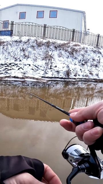 Gammarus. Возвращение в Семью #мормышинг смотреть онлайн