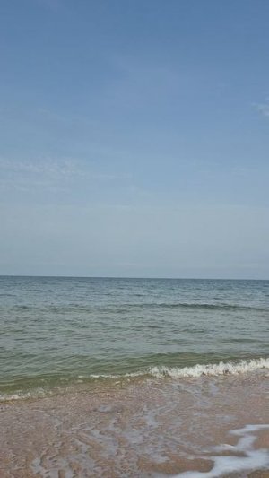 Крым, Азовское море, посёлок Новоотрадное. Воздух +15°, море +12°, 8 ноября 2025г.