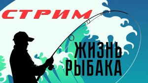 СТРИМ. О планах, анонс видео, вопросы