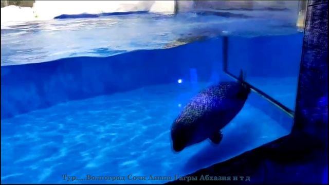 Тур..... смотреть онлайн