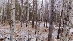 Очень страные находки в старом лесу где были СЕКРЕТНЫЕ РАЗРАБОТКИ СССР!!!!