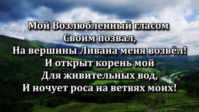 Красота в кротком духе смотреть онлайн