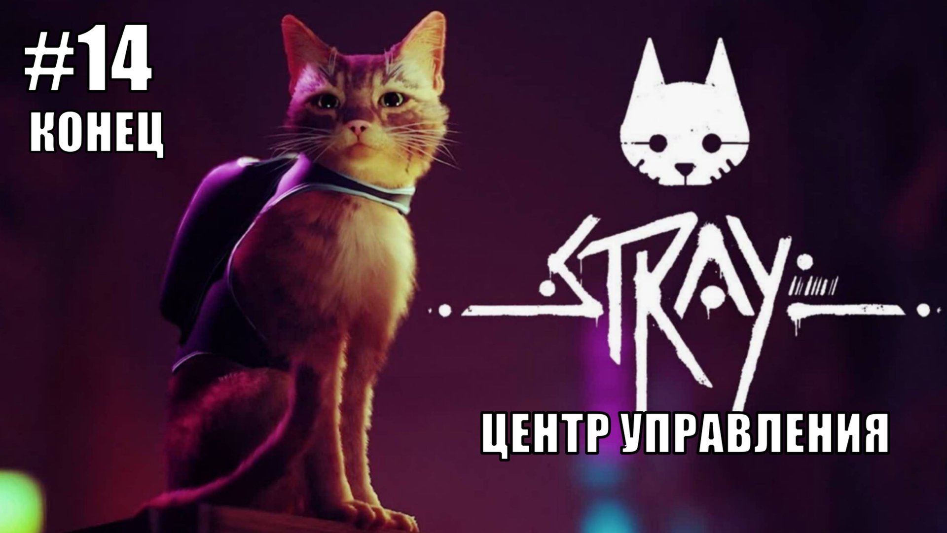 Stray Полное Прохождение на PS5 #14 Концовка Центр управления #stray #ps5 #ps4 #sony #cats #animals смотреть онлайн