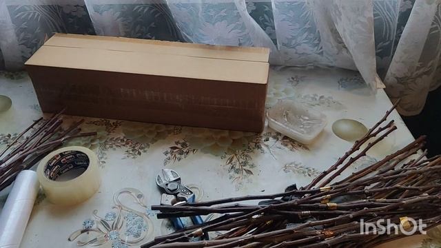 Черенки плодовых деревьев почтой. смотреть онлайн