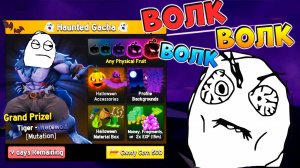 БЛОКС ФРУТС ОБОРОТЕНЬ ИДИ СЮДА🍈🌊Попытка №2 на ВОЛКА