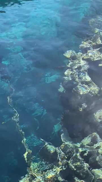 Акула что ли ?? Красное море смотреть онлайн