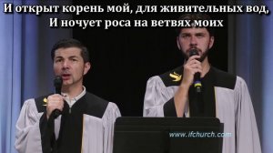 Красота в кротком духе