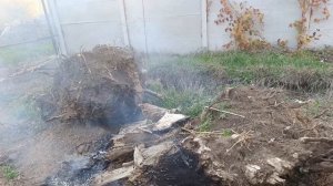 08-11-2025 Подгатовила ещё грядки, для ежевики и малины.