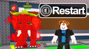 ЧТООО?! МОИ БРЕЙНРОТЫ НАЧАЛИ НЕСТИ ЯЙЦА  Roblox