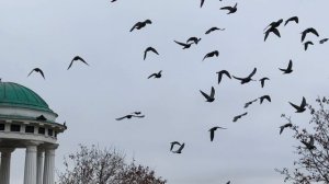 Ярославль Волга-Дрим октябрь 2025