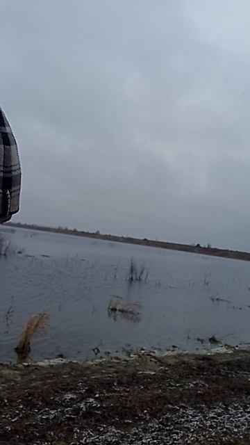 Боевика идём по грибы уровень воды смотреть онлайн