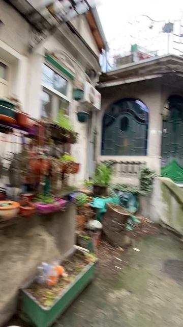 Сербия Белград смотреть онлайн