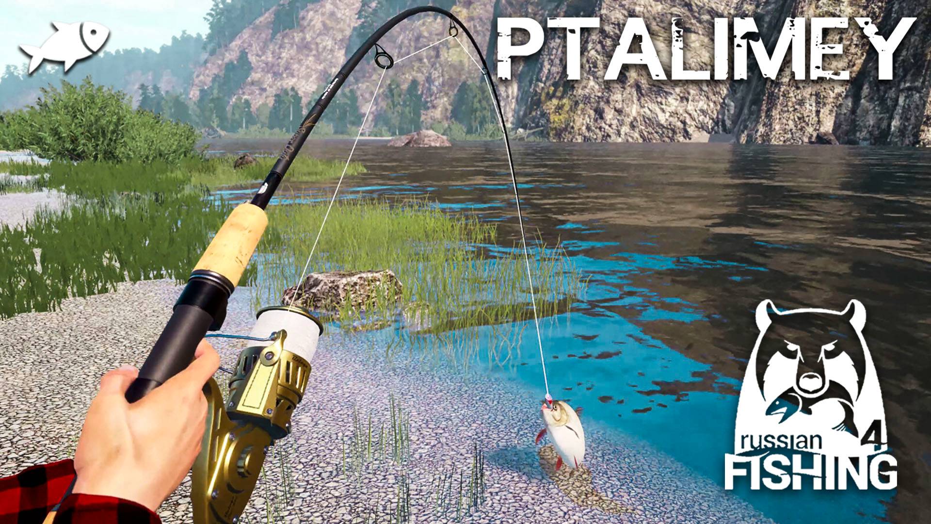 Спиннинговая феерия на Белой реке🐟Русская рыбалка 4🐬Russian Fishing 4 смотреть онлайн