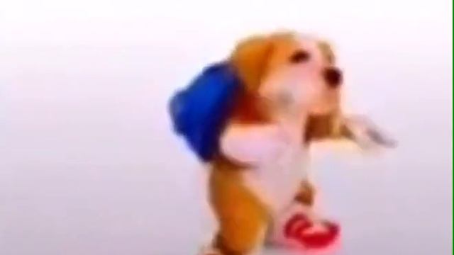 собака танцует смотреть онлайн