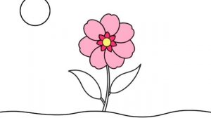 Раскраска онлайн для детей. Развивающее видео.