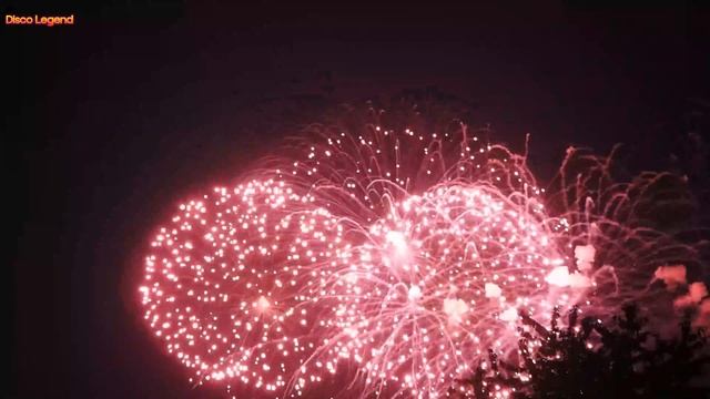 David Max - Midnight Melody | Retro Dance Vibes | Disco Legend 2025 смотреть онлайн