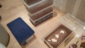 Стартовые корма-КОЛОВРАТКА и АУЛОФОРУС.