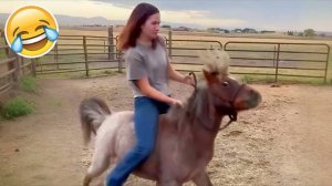 Лучшие смешные видео 2025 года 😂 Попробуй не засмеяться Смешные видео