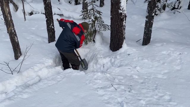 Где искать песок зимой в лесу? Как трогаться в горку если скользко смотреть онлайн
