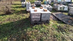 8 ноября,облёт