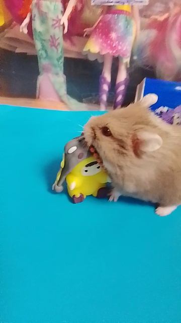 Wakuku поёт песню про roblox Лиля с хомяками🐹🐹