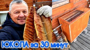 ЭЛЕКТРОСТАТИЧЕСКАЯ КОПТИЛЬНЯ ЮКОЛА ИЗ ЩУКИ