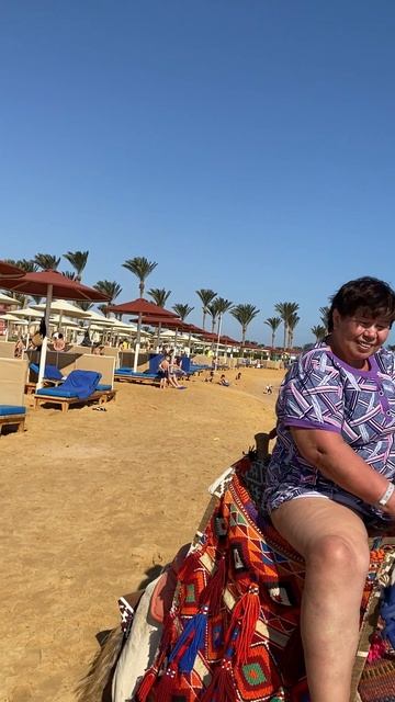 Людмила оседлала египетского верблюда ! Теперь хочет купить такого же домой в Москву ! 😧 смотреть онлайн