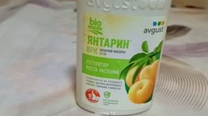 ⚡ Стимулятор Янтарин	Янтарная кислота в помощь огороднику