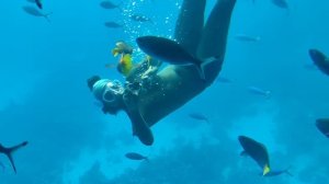 Египет - что посмотреть и куда сходить в Хургаде - багги, квадроциклы, батискаф, верблюды