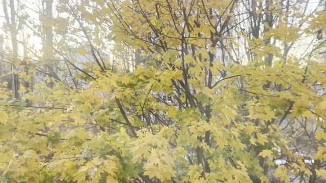 Московский 8 смотреть онлайн