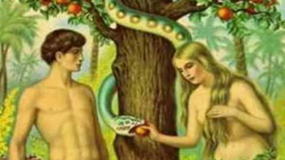 11. ТАЙНА АДАМА И ЕВЫ часть 4-Статья 11- Валерий Поздняков смотреть онлайн