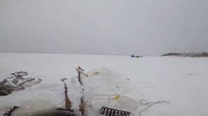 Рыбалка на перемёты. Осётр на Енисее. 17