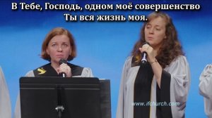 Под сенью крыл