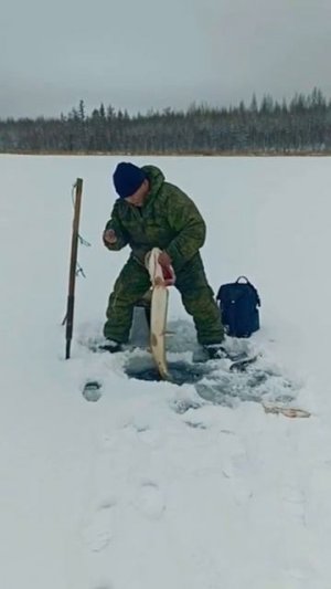 Трофейная Щука 🎣 #рыбалка