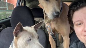 мы для них жизнь