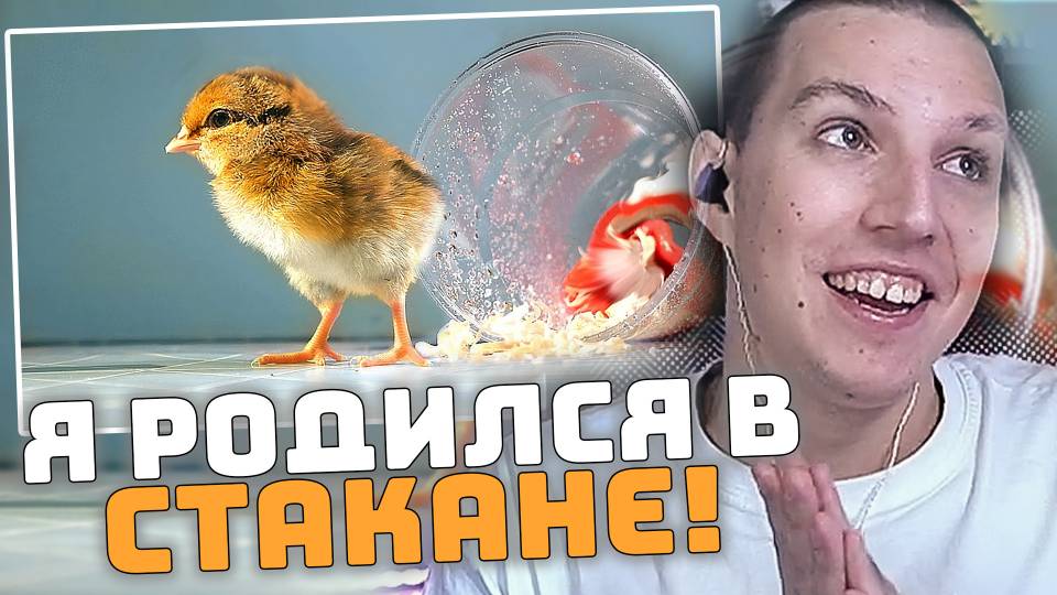 Я РОДИЛСЯ В СТАКАНЕ! | РЕАКЦИЯ МАЗЕЛЛОВА смотреть онлайн