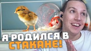 Я РОДИЛСЯ В СТАКАНЕ! | РЕАКЦИЯ МАЗЕЛЛОВА