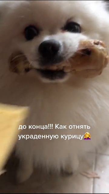 Как отобрать украденную курицу?