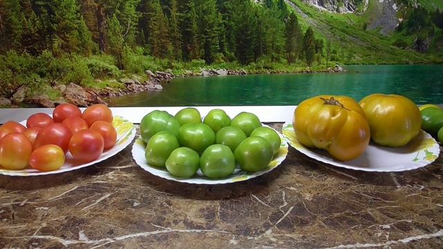 ТОМАТ ФИОНА ЗЕЛЕНАЯ. №416 в моем каталоге. ДЕГУСТАЦИЯ СОРТА. смотреть онлайн