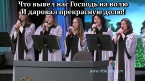 У нас сегодня день чудесный