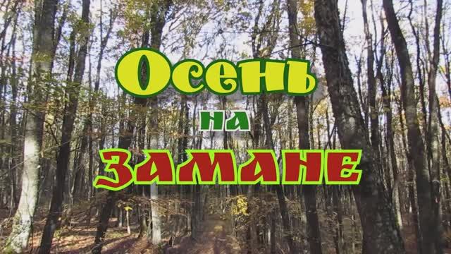 Осень на горе Замана... Горный Крым... 30.10.2025 смотреть онлайн