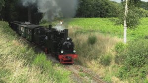 Паровозы мини на узкоколейке