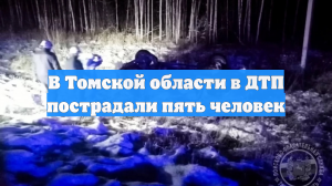 В Томской области в ДТП пострадали пять человек
